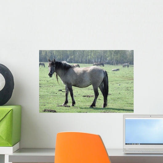 Wild Horse Wall Mural