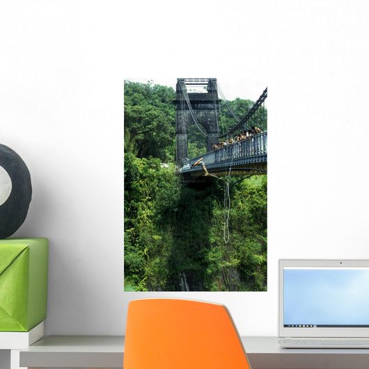 bungee jumping Wall Mural