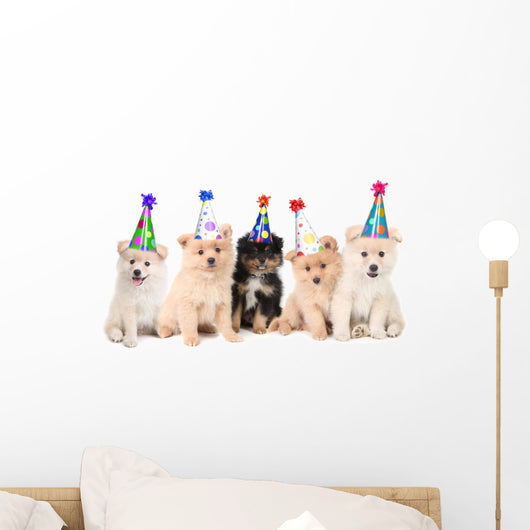Five Pomeranian Puppies Celebrating a Birthday Wall Decal