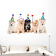 Five Pomeranian Puppies Celebrating a Birthday Wall Decal