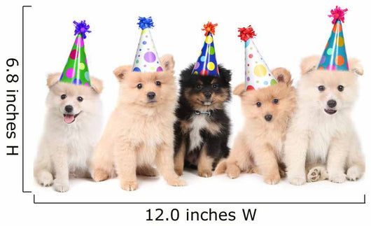Five Pomeranian Puppies Celebrating a Birthday Wall Decal