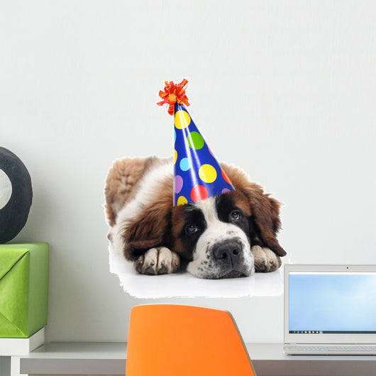 Saint Bernard Wearing Polka