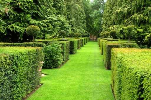 Jardin Taille Wall Decal Design 2