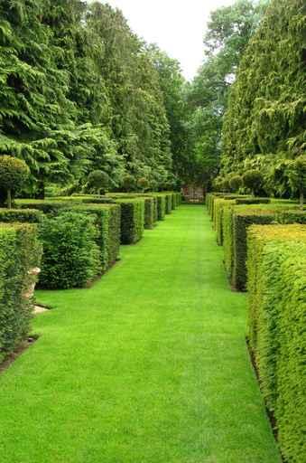 Jardin Taille Et Chateau Wall Decal