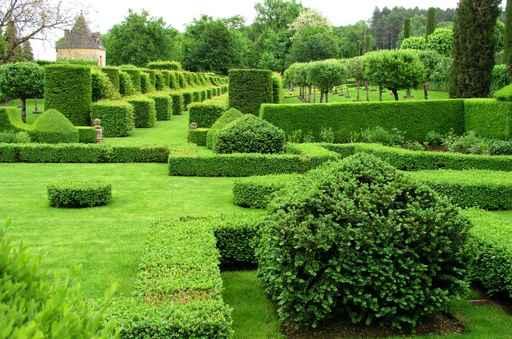 Jardin Taille Wall Decal Design 1