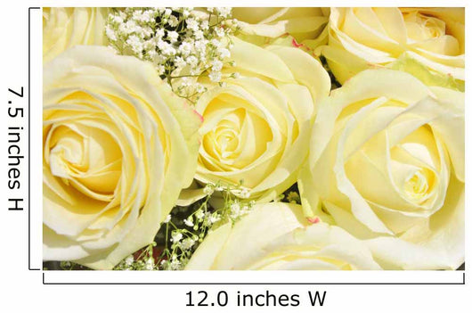 Bouquet of Yellow Roses Wall Mural