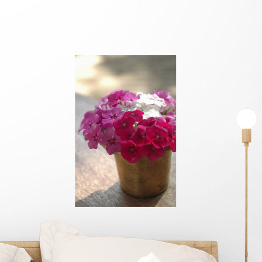 India, Pink And White Flowers In Terracotta Pot At Ahilya Fort Hotel Wall Mural