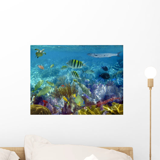 Caribbean Reef Tropical Fishes Underwater Wall Mural