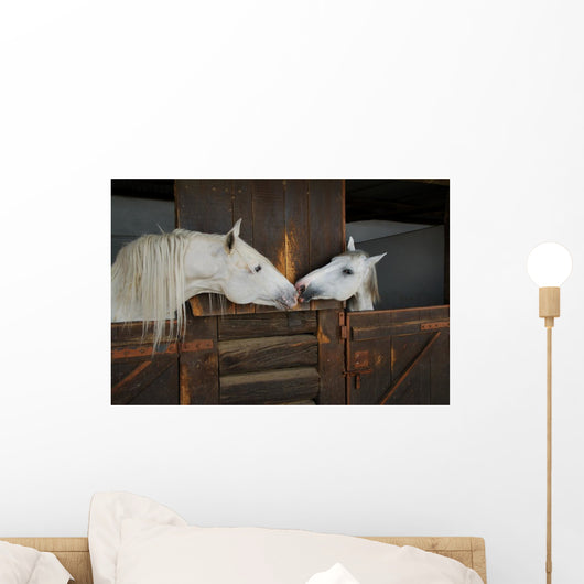 Two Horses Kissing Wall Mural