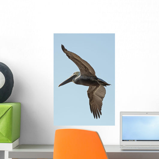 A bird in flight;Gulf shores alabama united states of america Wall Mural