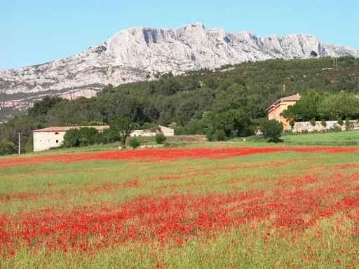 Sainte-Victoire Wall Decal