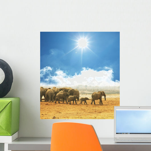 Elephant Wall Mural