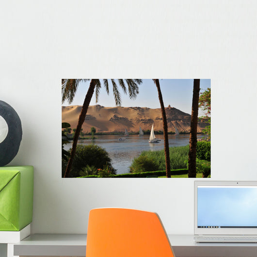 The Nile in Aswan Egypt Wall Mural