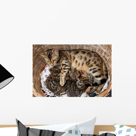 Bengal cat with kittens Wall Mural