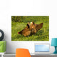 Hen Wall Mural