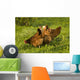Hen Wall Mural