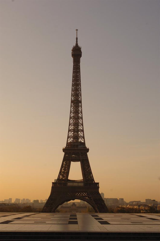 Paris Eiffel Tower Dawn Wall Mural