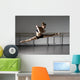 Leaping