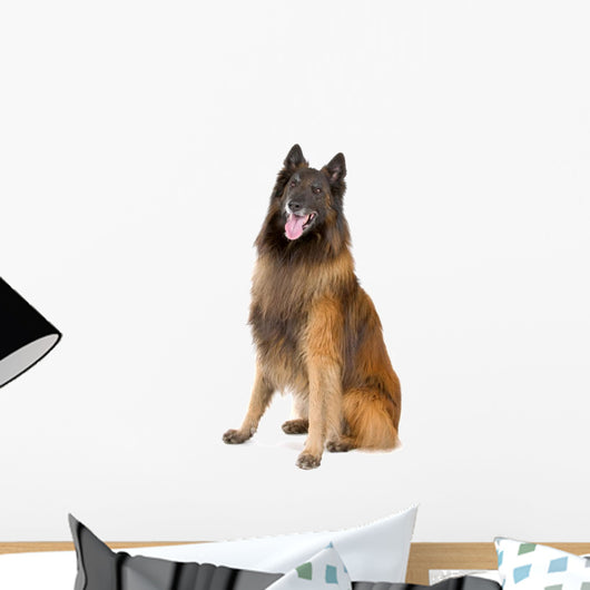 Belgian Shepherd Tervuren Sticking Wall Decal