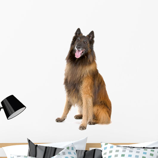 Belgian Shepherd Tervuren Sticking Wall Decal