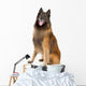 Belgian Shepherd Tervuren Sticking Wall Decal