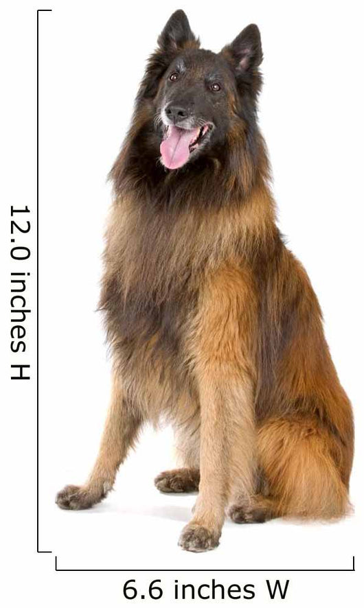 Belgian Shepherd Tervuren Sticking Wall Decal