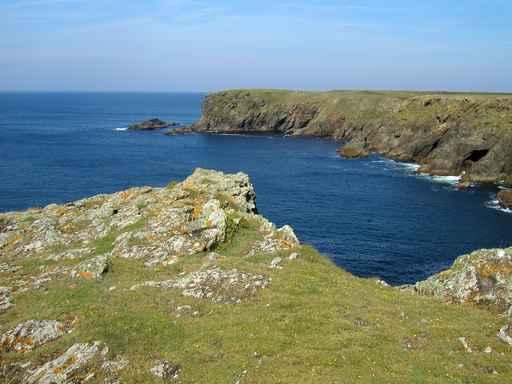 Morbihan Wall Decal Design 1