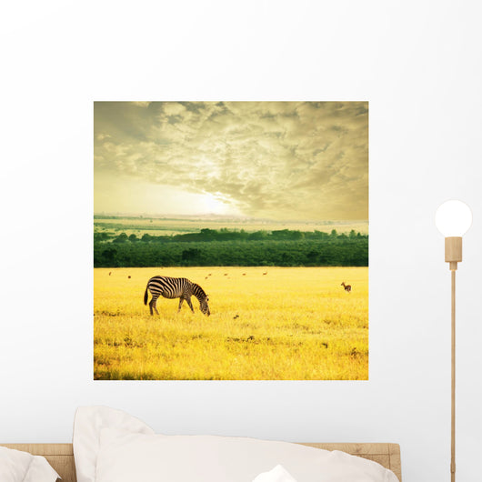 Zebra on sunrise Wall Mural