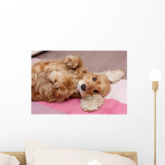 Cocker Spaniel Wall Mural