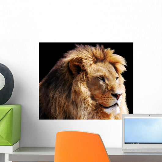 Lion Head