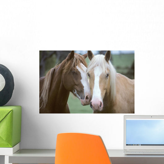 Two Horses Loving Wall Mural
