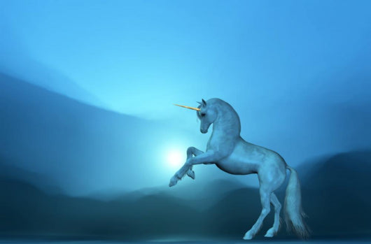 Einhorn Wall Mural