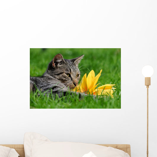 Cat with Sunflower
