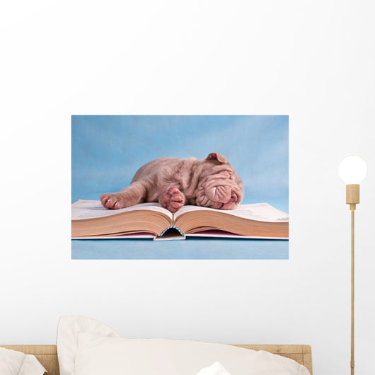 Tiresome Studies Wall Mural