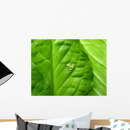 Green Frog Sitting Green Wall Mural