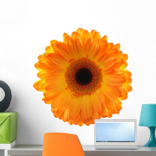 Gerbera Wall Decal