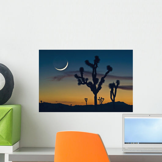 Sunset In Joshua Tree National Park Wall Mural