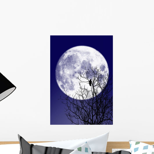 Full moon Wall Mural