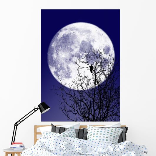 Full moon Wall Mural