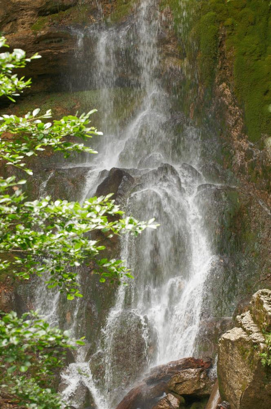 Beautiful Waterfall Forest Wall Mural