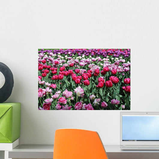 Tulips Pink Variations Wall Mural