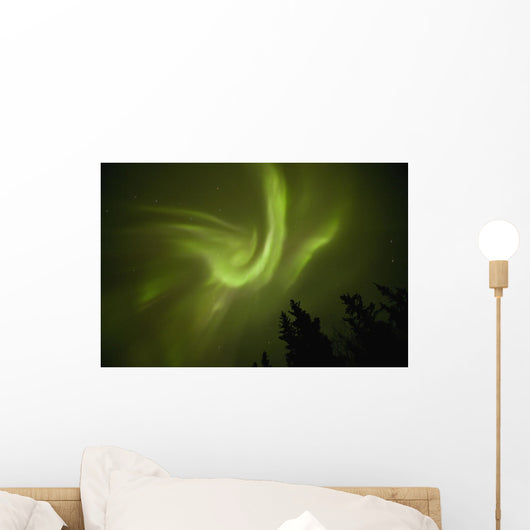 Aurora borealis dances over annie lake Wall Mural