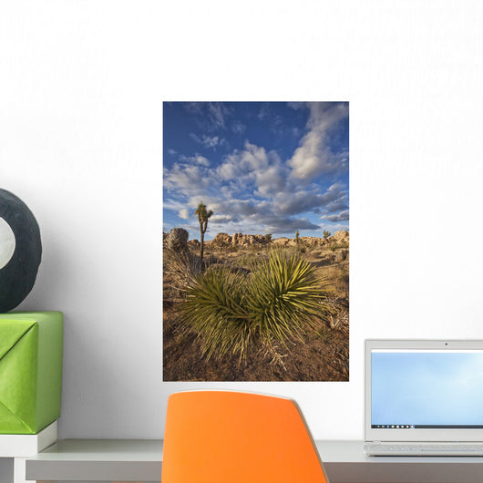 Yucca plants and joshua trees dot the landscape Wall Mural