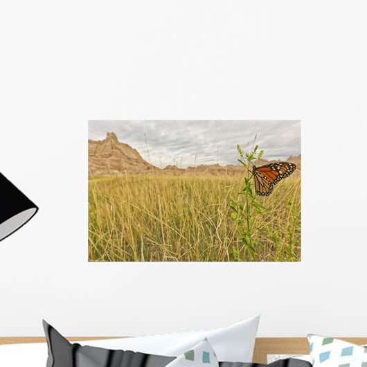 Monarch butterfly on a blade of grass at dawn Wall Mural