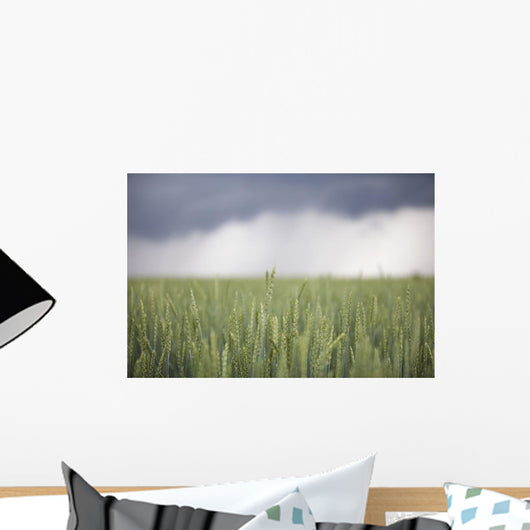 Wheat field and oncoming thunderstorm Wall Mural