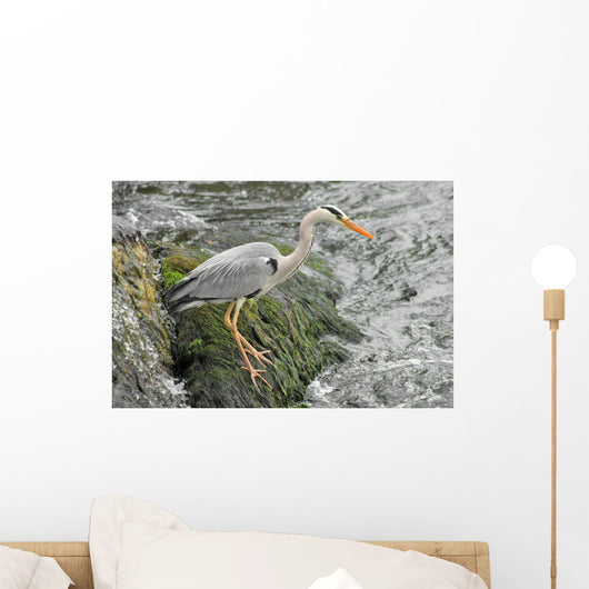 Grey Heron 2 Wall Mural