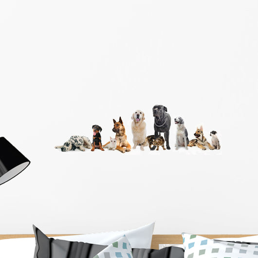 Dogs and Cats Wall Decal