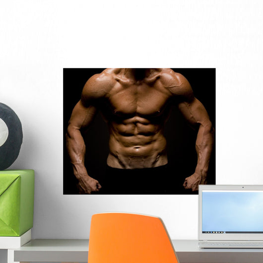 Fitness Torso Wall Mural