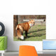 Wheres the Chicken Wall Mural