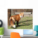 Wheres the Chicken Wall Mural